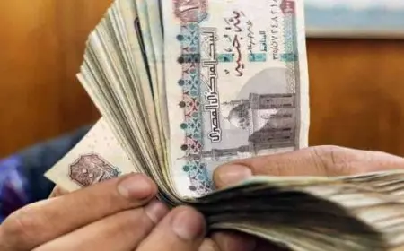 متحدث الوزراء: الحكومة ملتزمة بتقديم حزم مساعدات إضافية عند الحاجة