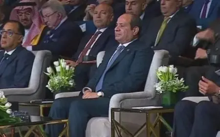 عبد الغفار يسلم الرئيس السيسي نسخة من الاستراتيجية الوطنية للصحة والسكان