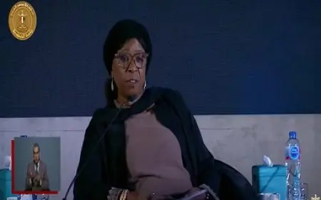 أمين عام مساعد الأمم المتحدة: منبهرون بمستوى التنمية في مصر