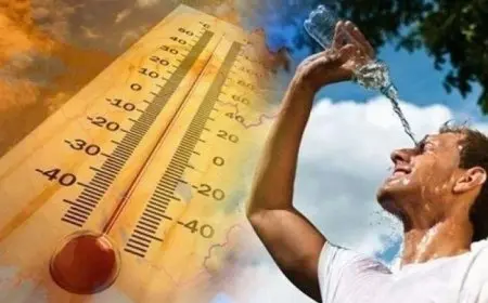 الأرصاد عن طقس الاثنين: بارد ليلا وصباحا والعظمي بالقاهرة 29