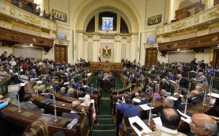 مجلس النواب يوافق مبدئيا على مشروع قانون المجلس الوطني للتعليم والابتكار