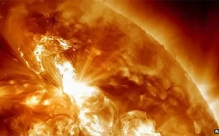 عاصفة شمسية وانقطاع الإنترنت عن العالم لمدة أسابيع؟.. فلكية جدة ترد بحسم