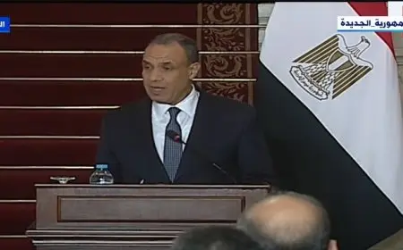 وزير الخارجية: التفاوض مع إثيوبيا جرى لأكثر من 13 عاما دون جدوى