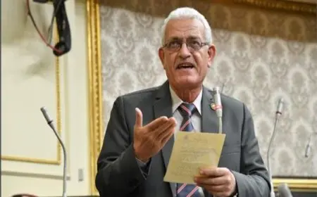 رئيس برلمانية حزب التجمع: صندوق النقد يعرض الدول لمشكلات اقتصادية واجتماعية