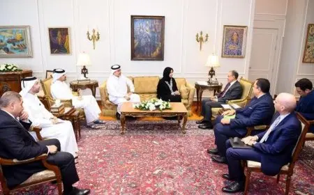 وزير الخارجية: نرحب برغبة قطر في استطلاع الفرص الاستثمارية بمصر