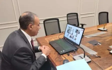 عبد العاطي يعقد لقاء افتراضياً مع أعضاء الجالية المصرية في السعودية