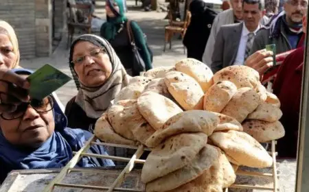 هل يرتفع سعر الخبز المدعم بعد تحريك أسعار الوقود ؟ التموين تكشف