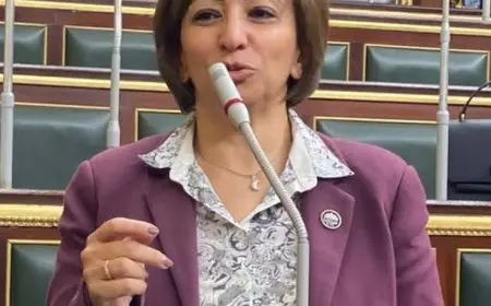 النائبة مها عبدالناصر: أسعار الأرز الزيت والسكر تضاعفت 300% خلال عامين.. إحنا مش عايشين