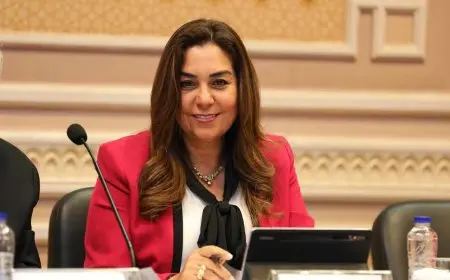 التنمية المحلية: 665 ألف طلب تصالح منذ تطبيق قانون التصالح على مخالفات البناء