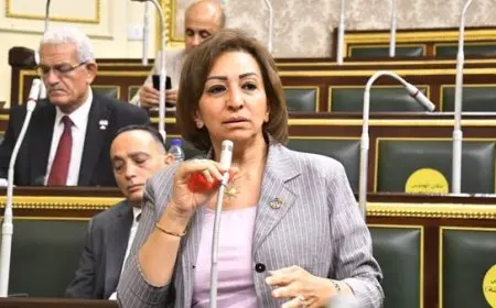النائبة مها عبدالناصر عن جدل أراضي طرح النهر: على الحكومة ألا تعاملنا كفاقدي الأهلية