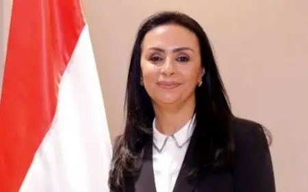 وزيرة التضامن وممثلي الهيئات الدولية في مصر يبحثان التعاون المشترك