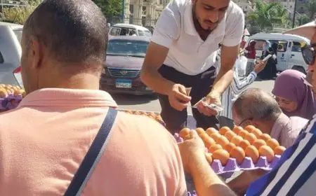 الزراعة تواصل طرح بيض المائدة للمواطنين بسعر 150 جنيها للطبق الواحد