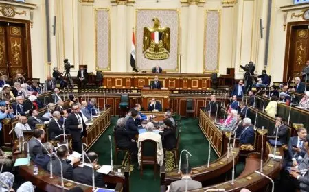 رئيس النواب يحيل بيان وزير التعليم للجنة المختصة لمناقشته