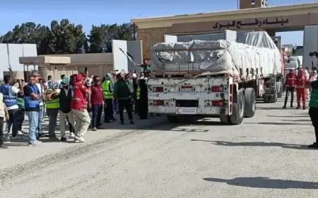 مصدر رفيع المستوى: مصر تؤكد أهمية سرعة التوصل لصفقة إطلاق النار وإدخال المساعدات