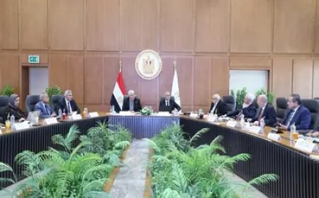 من بينها القاهرة وسوهاج.. التعليم العالي توافق على إنشاء 8 جامعات أهلية