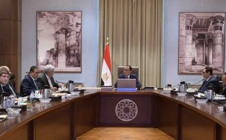 رئيس الوزراء يلتقي وزير التعليم العالي لمتابعة عدد من ملفات عمل الوزارة