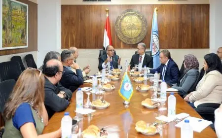 نقاش مع محمود محي الدين حول الطبقة الوسطي في مركز الأهرام للدراسات