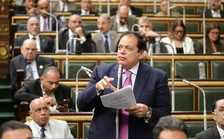 أبو العينين: توطين سلاسل الإمداد العالمية في مصر أمر مهم