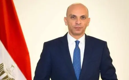 متحدث الخارجية: بريكس يحقق مكاسب اقتصادية.. ومصر صوت الدول النامية في التجمع