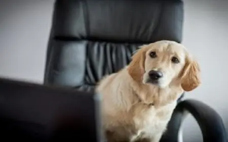 أميرة بريطانية توصى بـ10 آلاف استرلينى لكلبها ولابنتها بـ5 آلاف بعد وفاتها