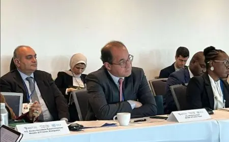 المالية: التحول الاقتصادي بإفريقيا يتطلب جهودا مضاعفة لدفع حركة النمو والتنمية