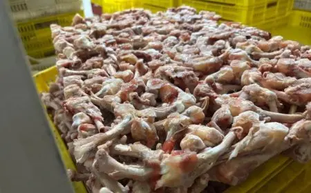 التموين والبيئة تتخذان إجراءات صارمة ضد المخالفين في دمياط