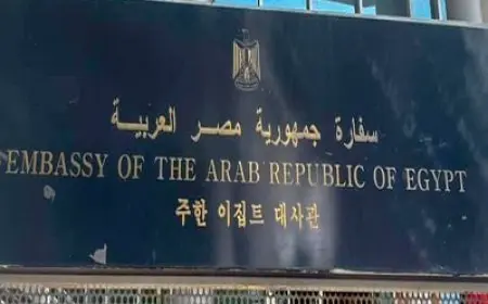 الملحق العسكري المصري بسيئول: نستخدم قوتنا برشد في نصرة الحق.. لا نعتدي ولا نغدر