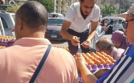 بدعم 35 جنيها.. الزراعة تبيع 32 ألف طبق لبيض المائدة بأسعار مخفضة للمواطنين
