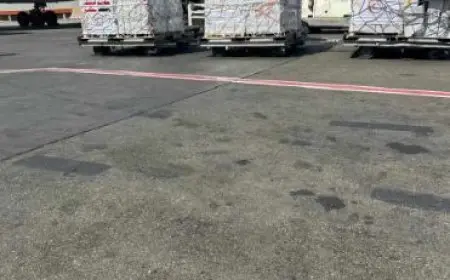 مصر تعيد 298 مصريا مقيما في لبنان وترسل شحنة مساعدات إنسانية للشعب اللبنانى