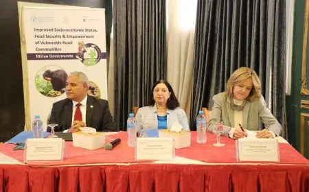 التضامن تبحث تحسين الوضع الاقتصادي للمجتمعات الريفية في المنيا.. بحضور ممثل منظمة الأغذية بالأمم المتحدة