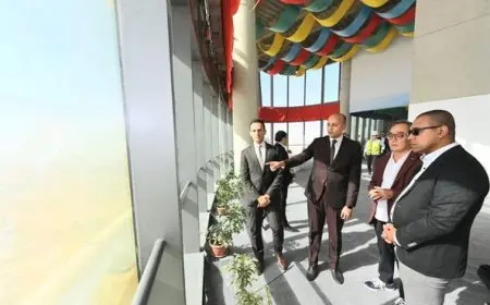 جولة استثمارية لوفد ياباني بالعاصمة الإدارية الجديدة.. 15 شركة تعبر عن رغبتها في دخول السوق المصرية