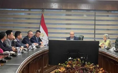 وزير الطيران يبحث مع مسئولي شركة هواوي التعاون في مجال تطوير البنية التحتية الرقمية