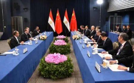السيسي ونظيره الصيني يطالبان بضرورة التوصل لحل دائم وشامل للقضية الفلسطينية