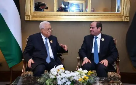السيسي يلتقي الرئيس الفلسطيني ويؤكد ورفض مصر أي مساع أو محاولات لتصفية القضية الفلسطينية