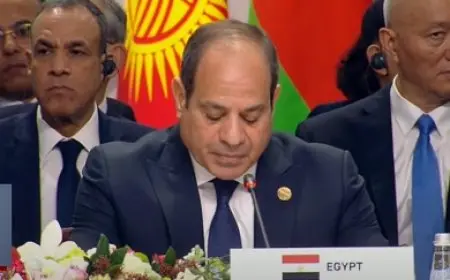 الرئيس السيسي من فعاليات بريكس: الحرب الإسرائيلية على غزة أثبتت ازدواجية معايير العالم