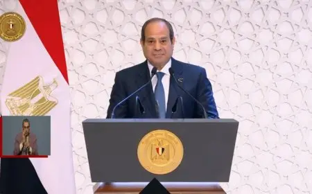 الرئيس السيسي: مصر ملتزمة بتعزيز العمل والتعاون المشترك مع دول تجمع البريكس