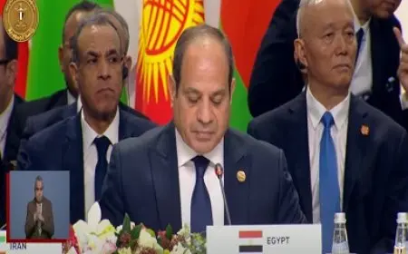 لا يمكن الحديث عن الأزمات دون التطرق لـ فلسطين ولبنان.. نص كلمة السيسي في قمة بريكس بلس
