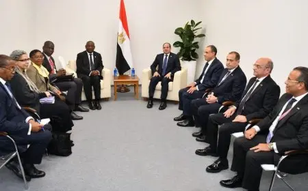 الرئيس السيسي يلتقي نظيره الجنوب إفريقي على هامش قمة البريكس