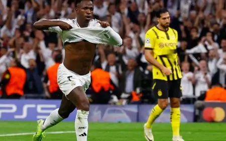 فينيسيوس أفضل لاعب في الجولة الثالثة بدوري أبطال أوروبا