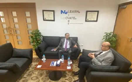 رئيس الشئون الإفريقية بمجلس النواب: أهمية تبني مشروعات تطوير الصناعات المحلية وتعزيز التنافسية في السوق