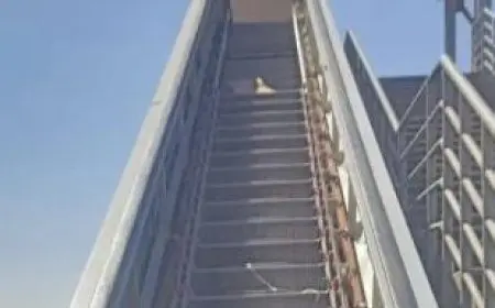 رئيس جهاز 6 أكتوبر: تركيب سلالم كهربائية ببعض كباري المشاة بطريق الواحات