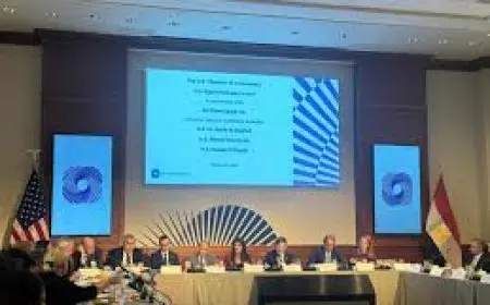 وزيرة التخطيط تدعو الشركات الأمريكية لاستغلال الفرص الاستثمارية في السوق المصري