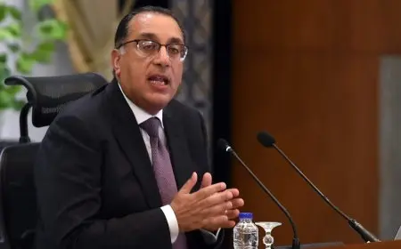 رئيس الوزراء يوجه بتوفير 100 مليون جنيه لتطوير قصر ثقافة السويس