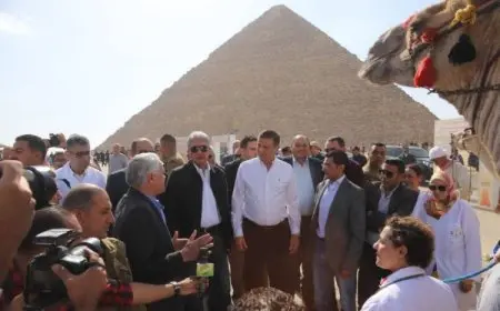 وزيرا السياحة والزراعة يطلقان البرنامج الوطني لرعاية وحماية الخيول والحيوانات الأليفة بالمناطق الأثرية