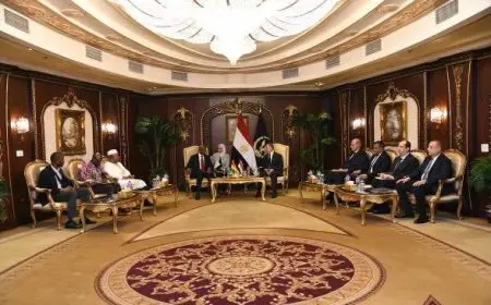 وزير الداخلية يبحث سبل تعزيز التعاون الأمني مع وزير الأمن والحماية المدنية بغينيا