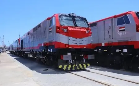 النقل تتخذ إجراءات قانونية ضد شخص قفز على جرار أحد القطارات