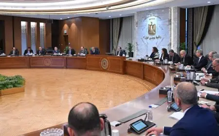 سياسة مرنة..  كيف تتعامل مصر مع التحديات الاقتصادية الراهنة؟