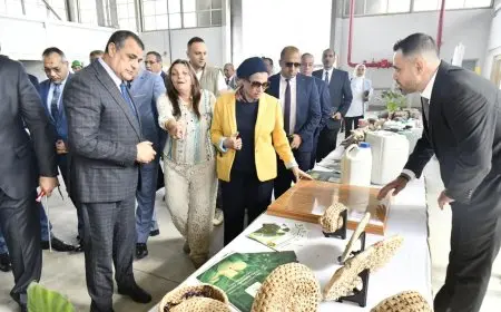 تفاصيل افتتاح مصنع إنتاج العبوات الكرتونية صديقة البيئة من مخلفات ألياف الموز