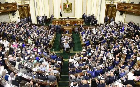 مقترح تشريعي جديد لإنشاء صندوق قومي للتكافل الاجتماعي