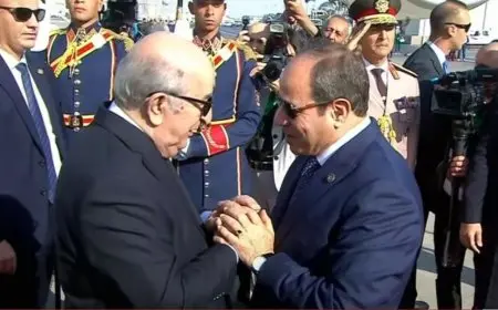 الرئيس السيسي يستقبل رئيس الجزائر بمطار القاهرة